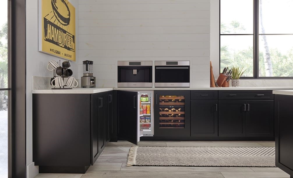 Sub-Zero 24" Designer Undercounter Refrigerator/Freezer (DEU2450CI)