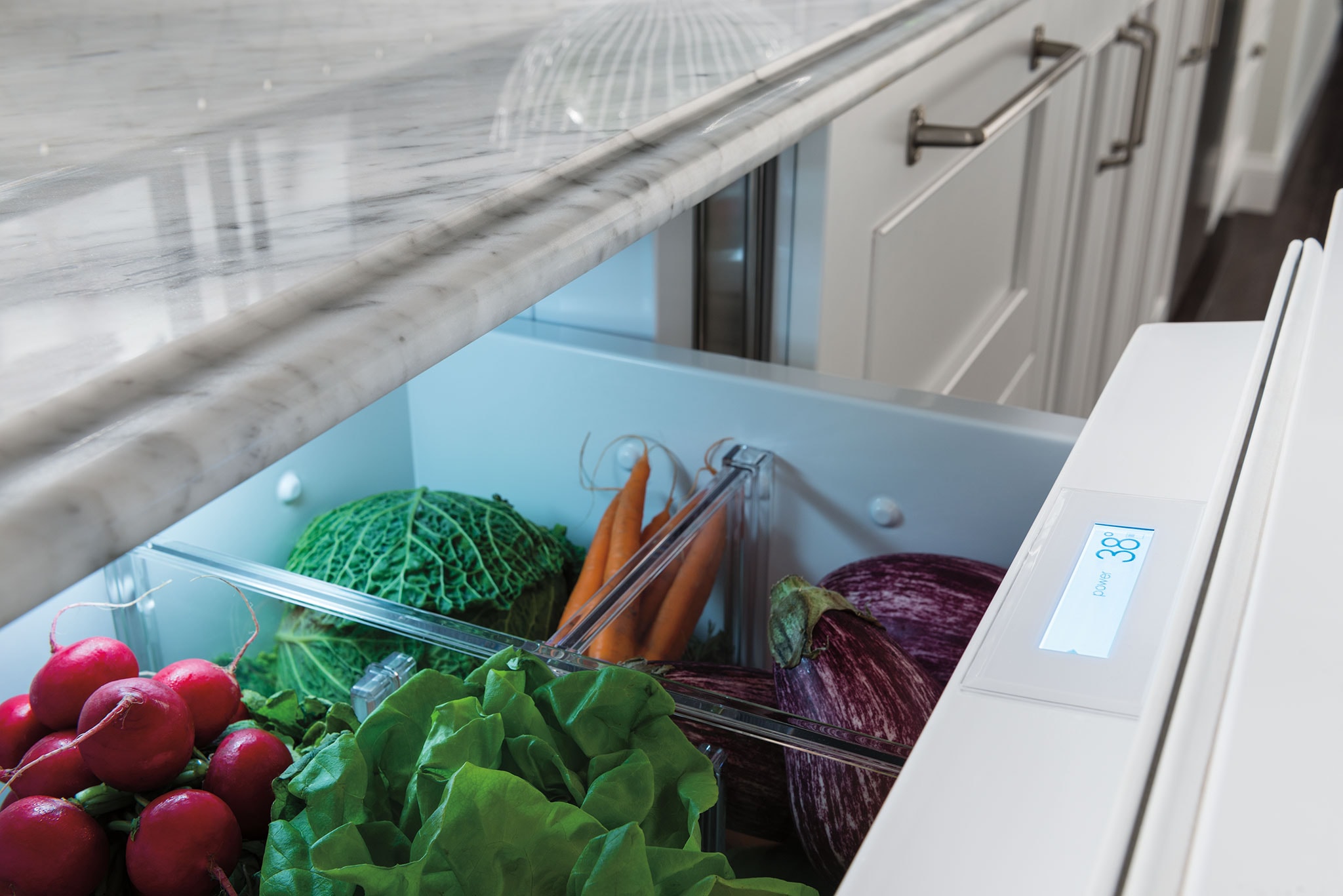 61 CM Indoor/Outdoor Refrigerator Drawers Panel Ready ICBID24RO