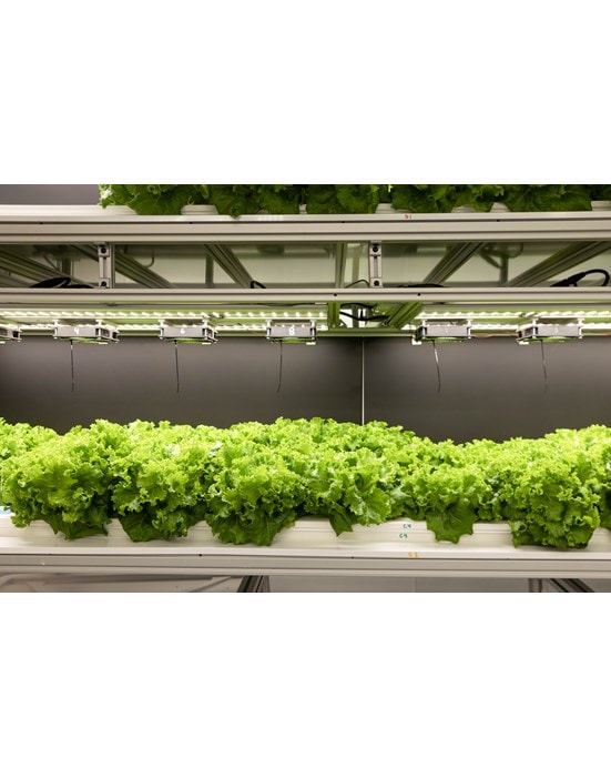 Energy efficient Sub-Zero Refrigerator Drawers keep vegetables fresh thanks to innovative product design utilizing smart innovative technology.