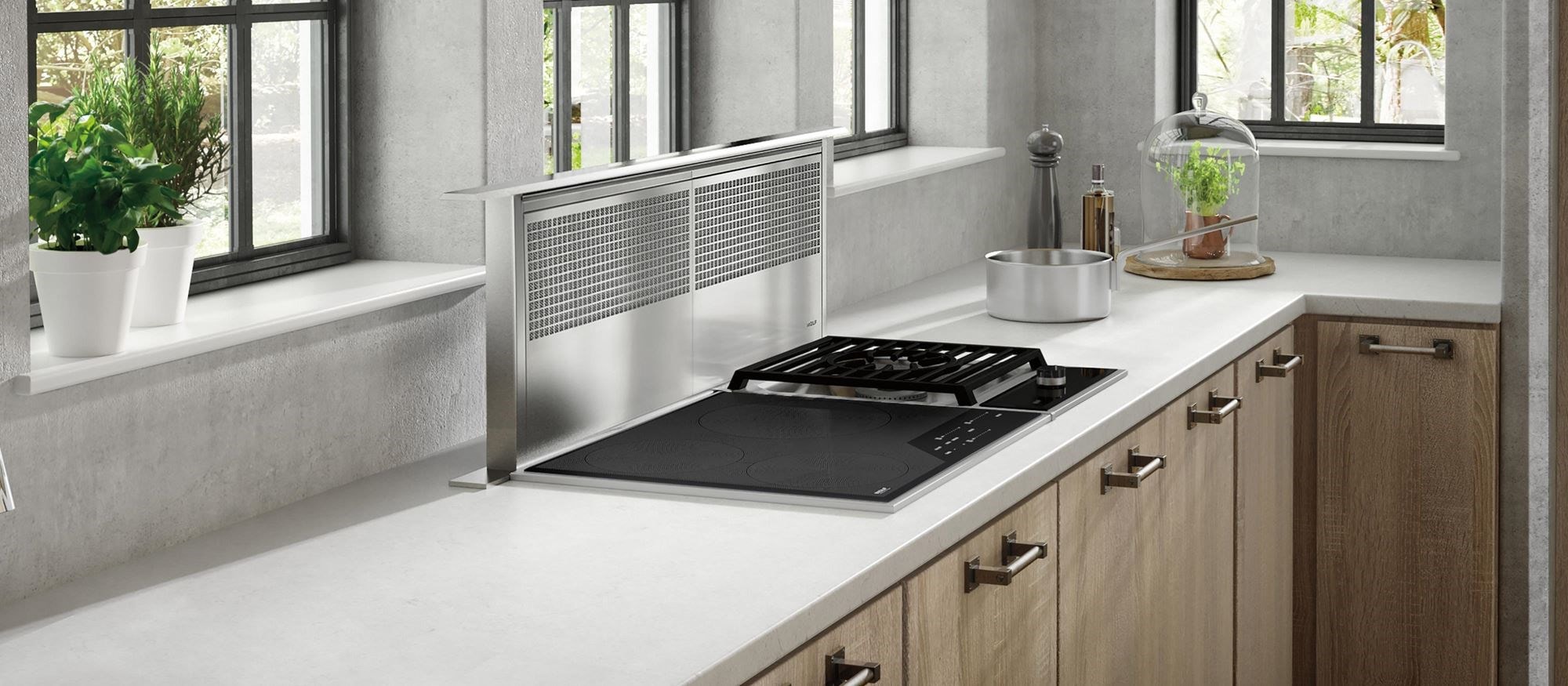 Wolf 24" Transitional Framed Induction Cooktop (CI243TF/S)